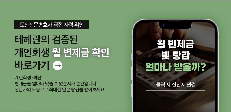 개인회생변제금 확인, 개인회생 진단